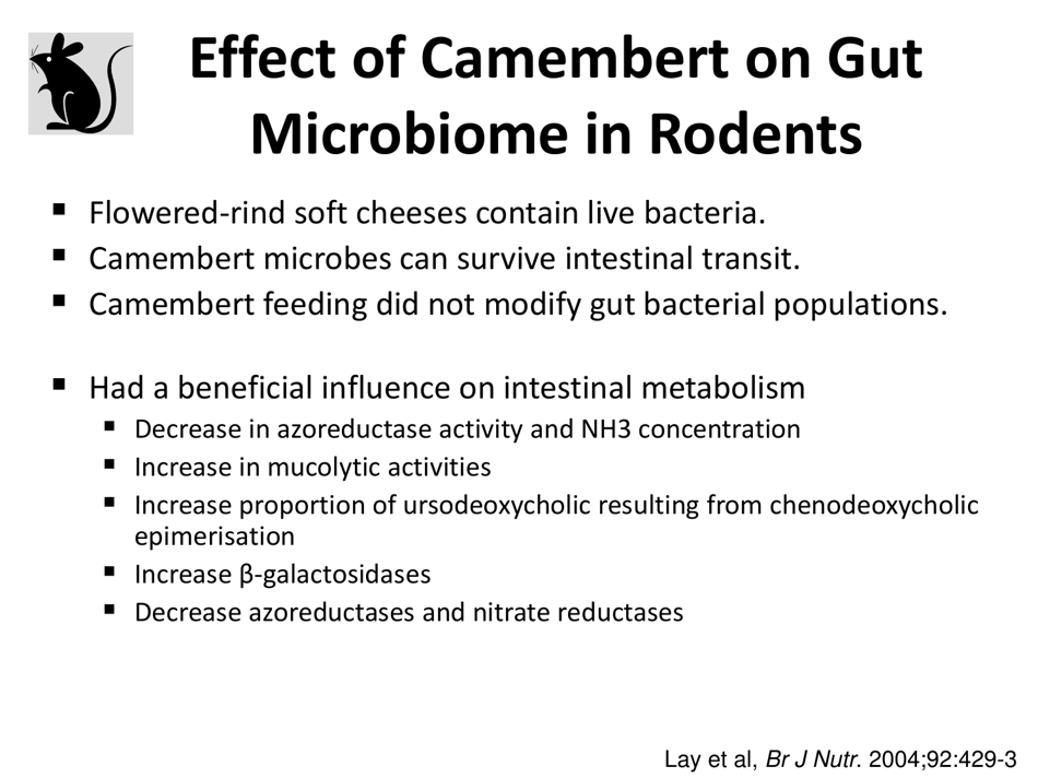 Fermented Foods: Intake and Implications for Cancer Risk - Johanna W. Lampe, Fred Hutchinson Cancer Research Center, Page 20