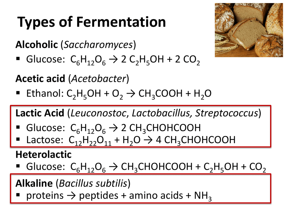 Fermented Foods: Intake and Implications for Cancer Risk - Johanna W. Lampe, Fred Hutchinson Cancer Research Center, Page 6
