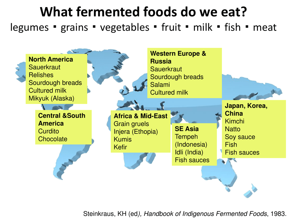 Fermented Foods: Intake and Implications for Cancer Risk - Johanna W. Lampe, Fred Hutchinson Cancer Research Center, Page 7