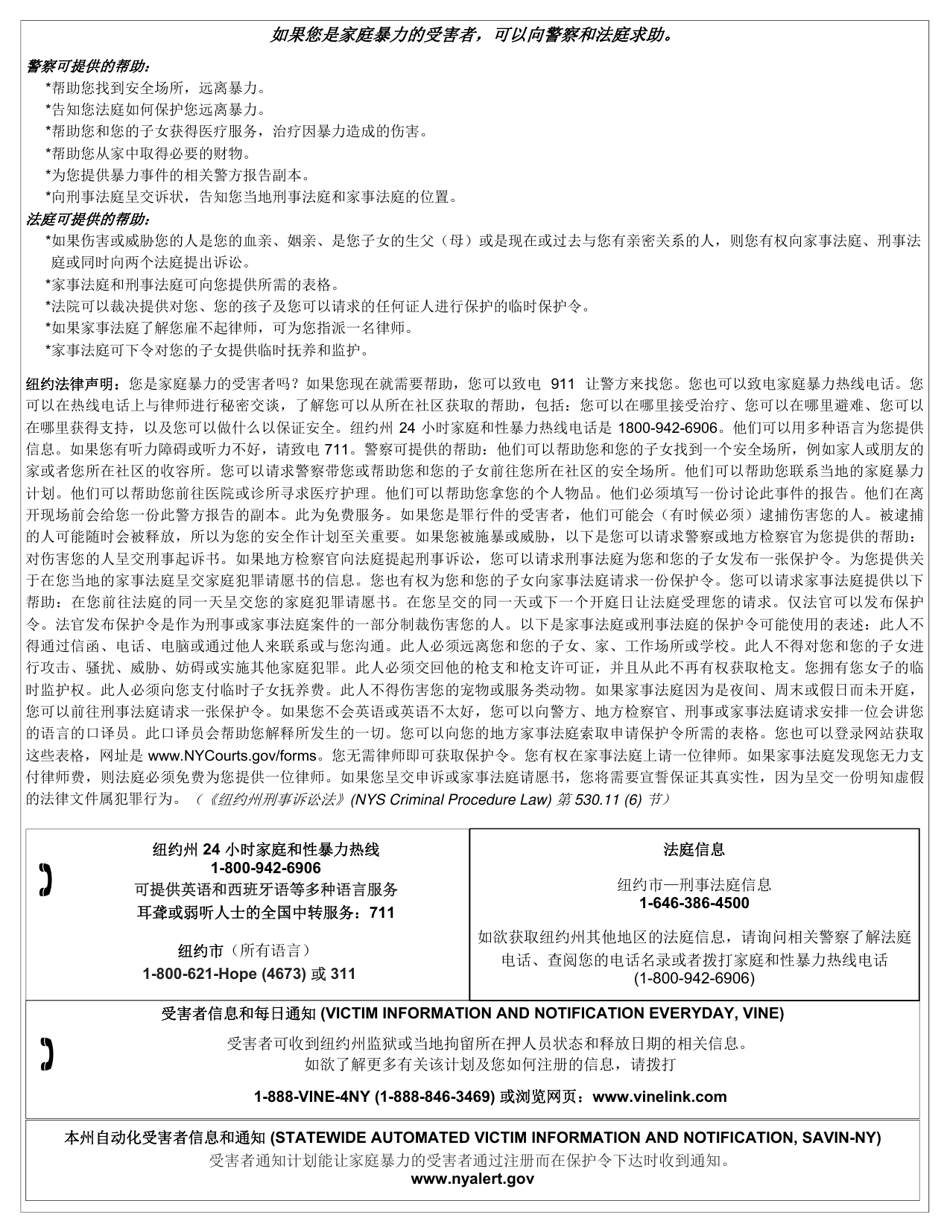 Form 3221 Domestic Incident Report - New York (English / Spanish / Russian / Chinese), Page 11