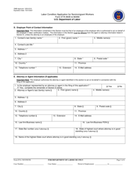 Form ETA-9035/9035E Labor Condition Application for Nonimmigrant Workers, Page 2