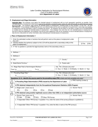 Form ETA-9035/9035E Labor Condition Application for Nonimmigrant Workers, Page 3