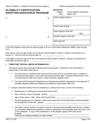 Document preview: Form AAP4 Eligibility Certification Adoption Assistance Program - California