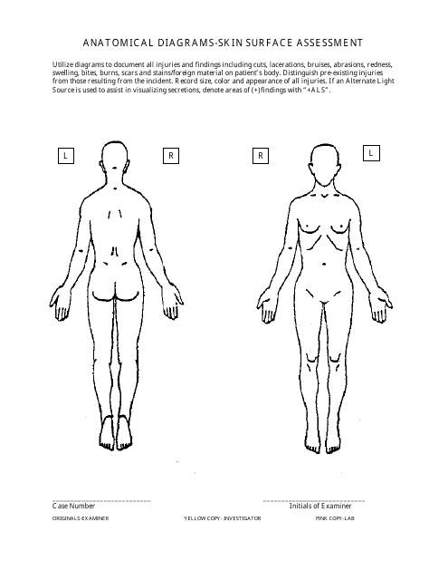 Anatomical Diagrams Skin Surface Assessment Form