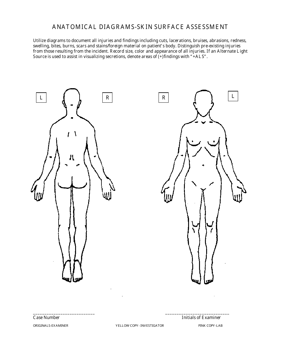 anatomical-diagrams-skin-surface-assessment-form-fill-out-sign