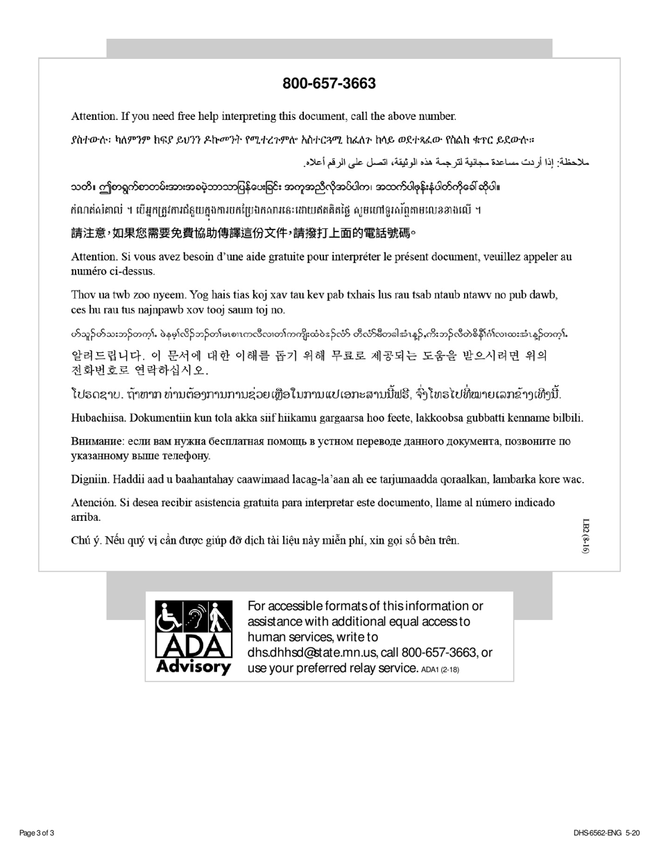 Form DHS-6562-ENG Advisory Committee Application Form - Minnesota, Page 3