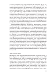Nobel Lecture: Aquaporin Water Channels - Peter Agre, Page 10