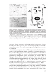 Nobel Lecture: Aquaporin Water Channels - Peter Agre, Page 14