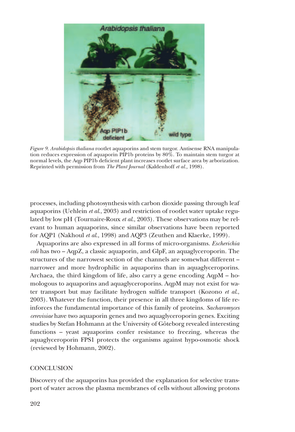 Nobel Lecture: Aquaporin Water Channels - Peter Agre, Page 19