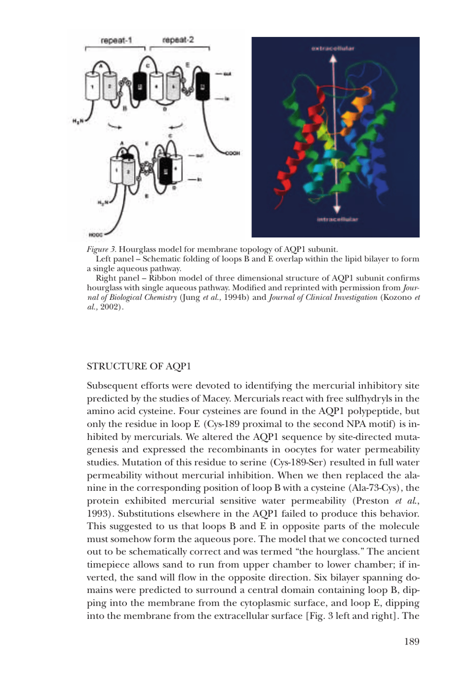 Nobel Lecture: Aquaporin Water Channels - Peter Agre, Page 6