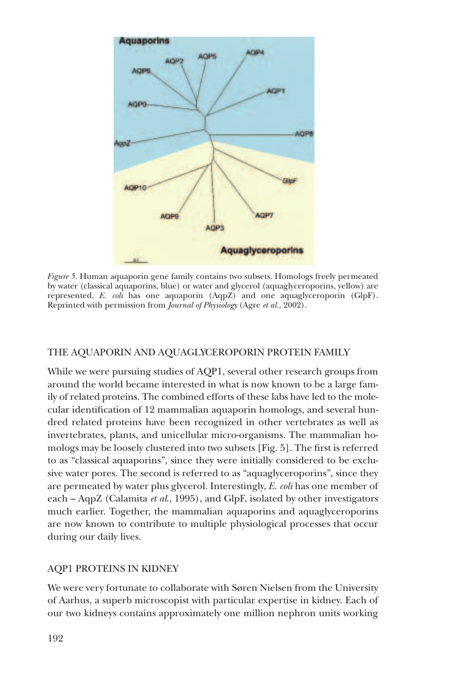 Nobel Lecture: Aquaporin Water Channels - Peter Agre, Page 9