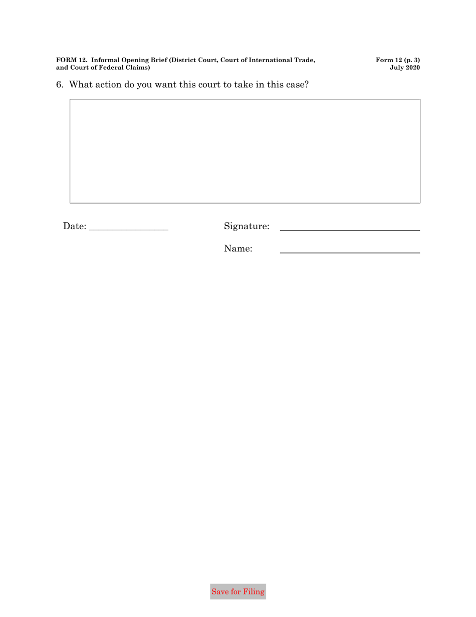 Form 12 Informal Brief (District Court, Court of International Trade, and Court of Federal Claims Cases), Page 3