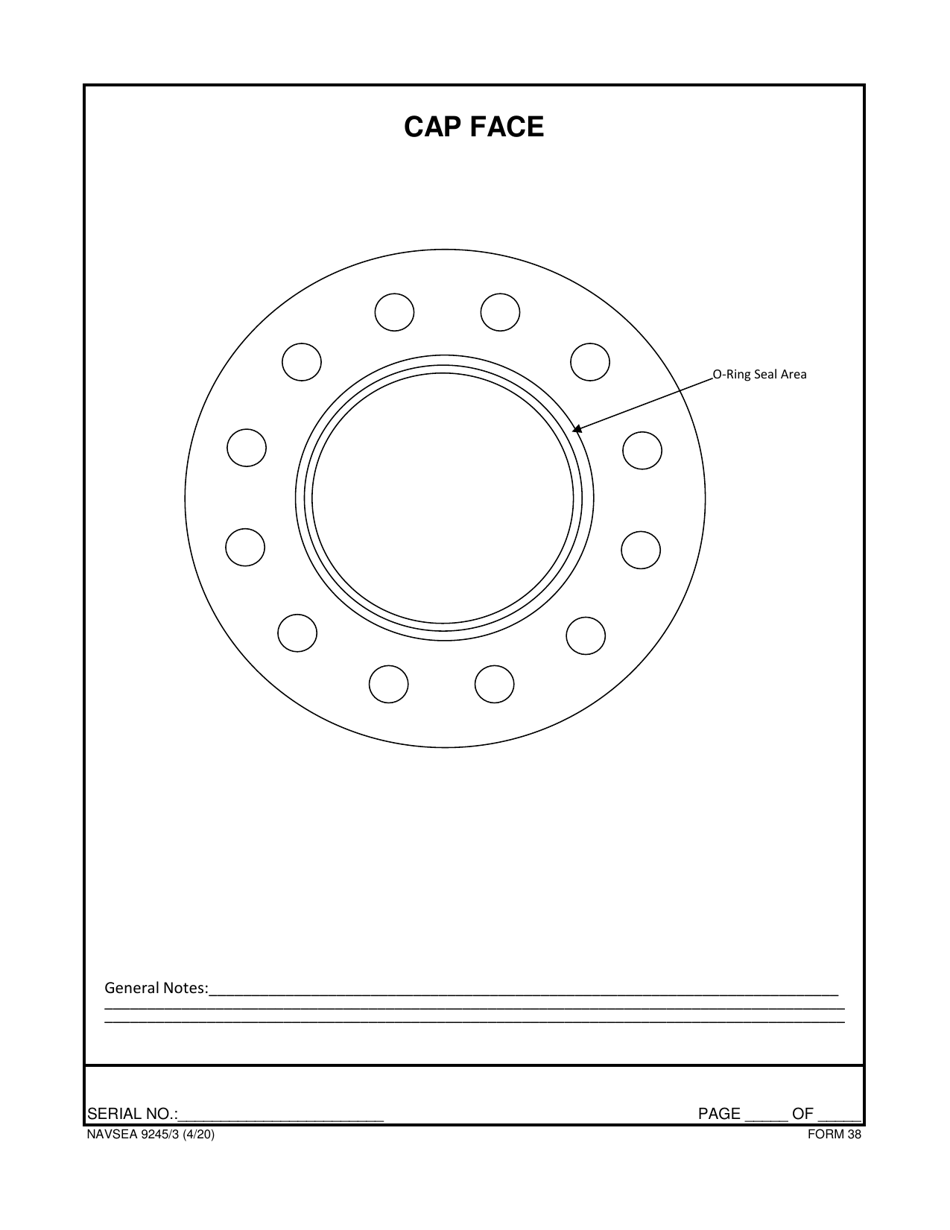 Form NAVSEA9245 / 3 Propeller Visual Technical Inspection Report, Page 39