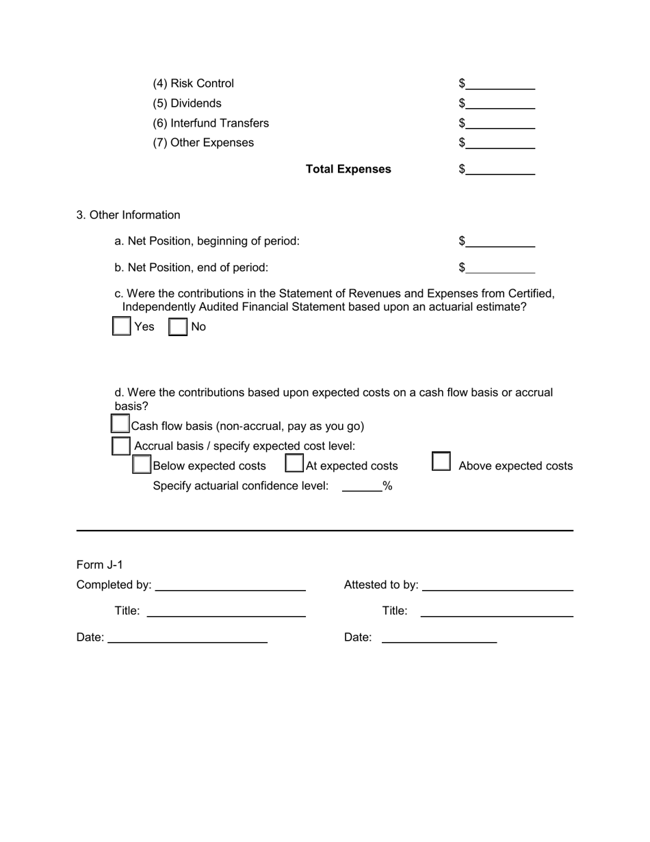Form J-1 Joint Powers Authority (Jpa) Self-insurers Profile and Financial Summary Report - California, Page 7