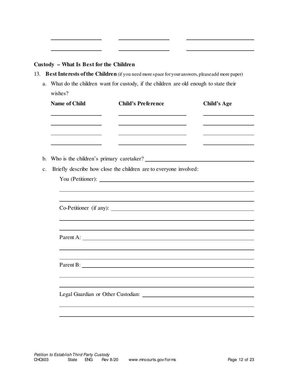 Form CHC603 Petition for Third Party Custody - Minnesota, Page 12