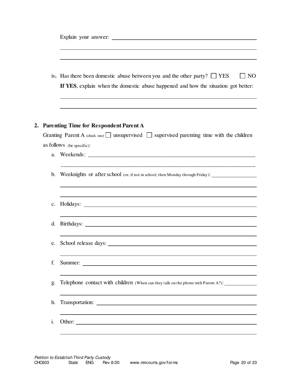 Form CHC603 Petition for Third Party Custody - Minnesota, Page 20