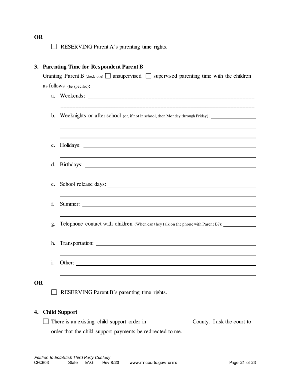 Form CHC603 Petition for Third Party Custody - Minnesota, Page 21