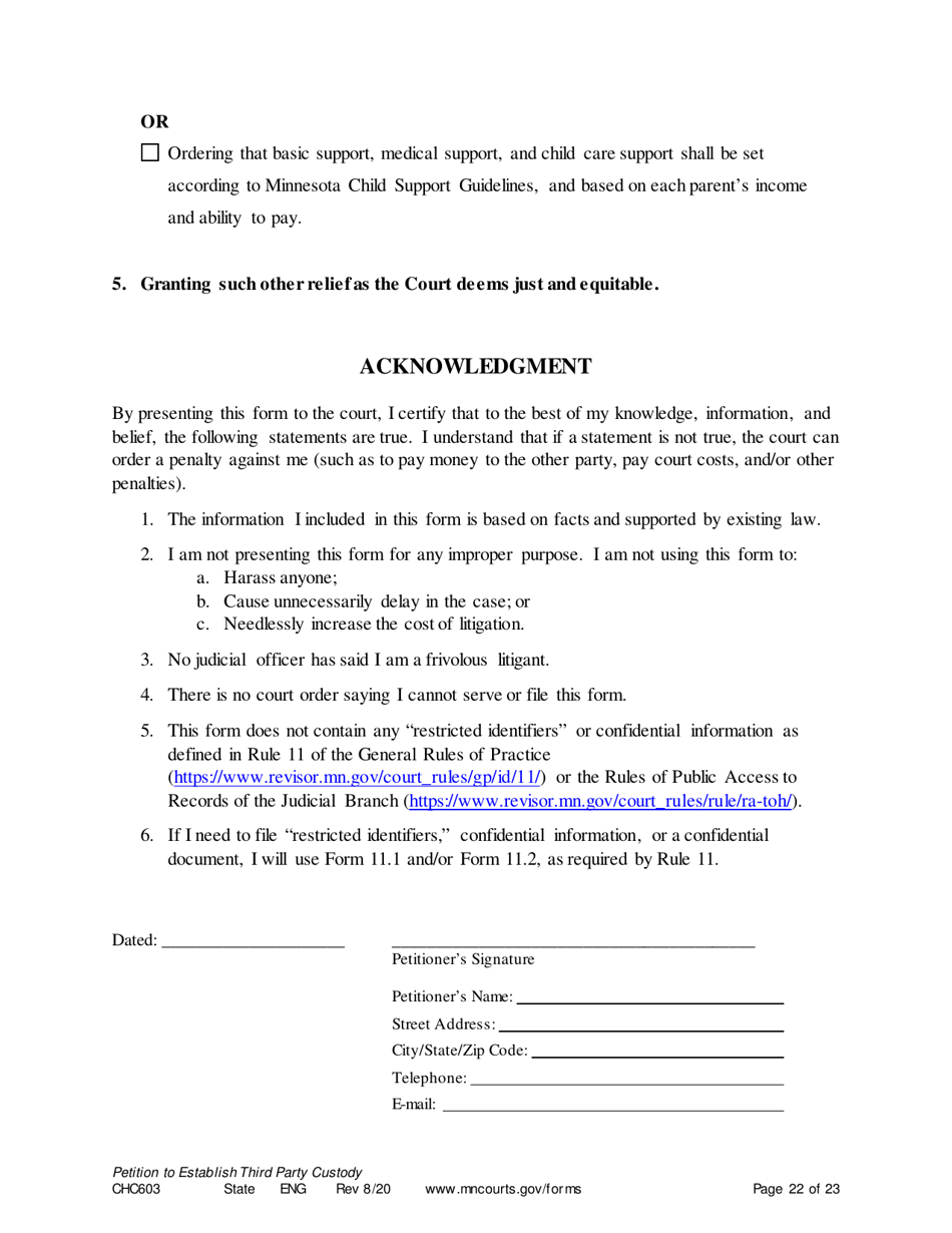 Form CHC603 Petition for Third Party Custody - Minnesota, Page 22