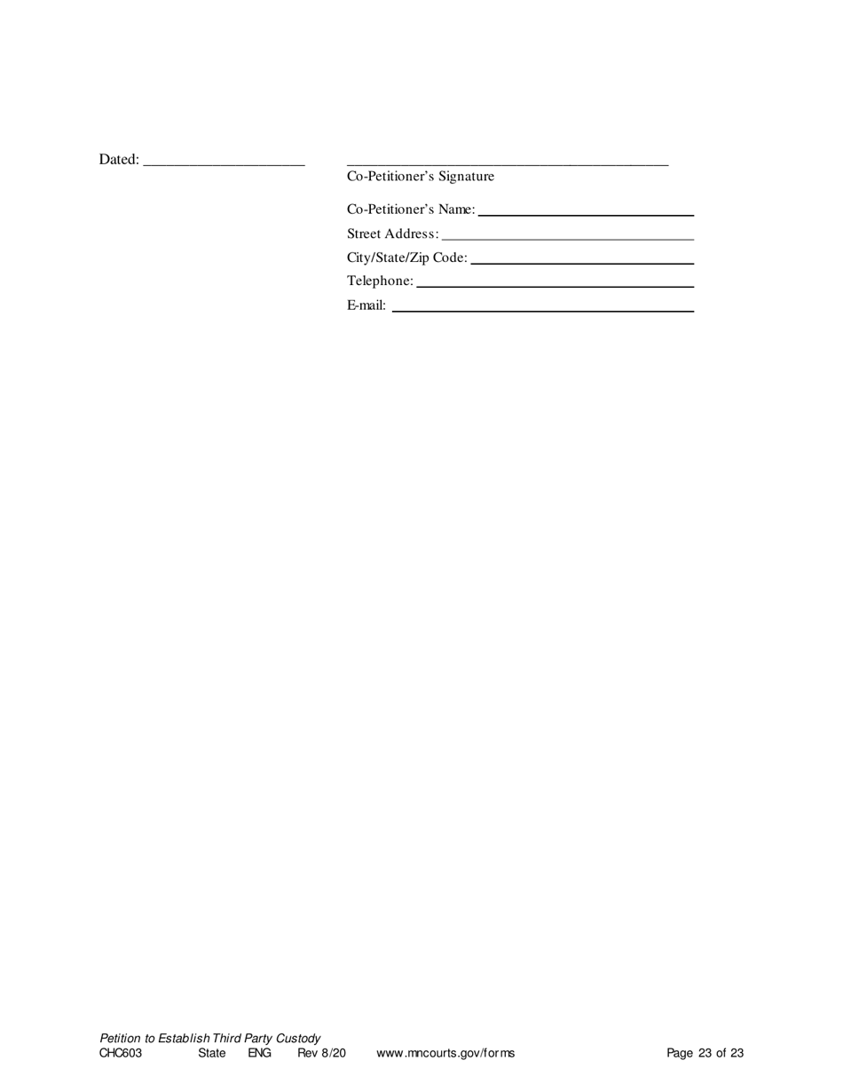 Form CHC603 Petition for Third Party Custody - Minnesota, Page 23