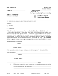 Document preview: Form GAC109 Guardian / Conservator Report - Minnesota