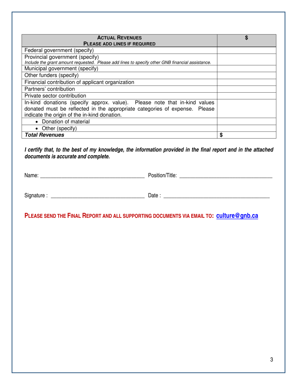 Arts and Culture Covid-19 Special Project Fund Final Report - New Brunswick, Canada, Page 3