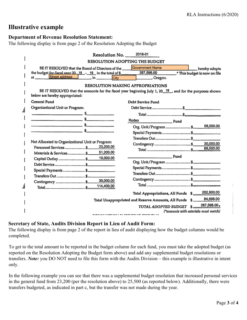Instructions for Report in Lieu of Audit - Oregon, Page 3