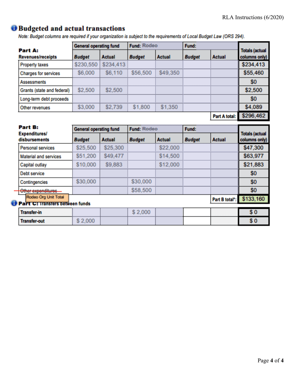 Instructions for Report in Lieu of Audit - Oregon, Page 4
