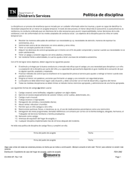 Document preview: Formulario CS-0553-SP Politica De Disciplina - Tennessee (Spanish)
