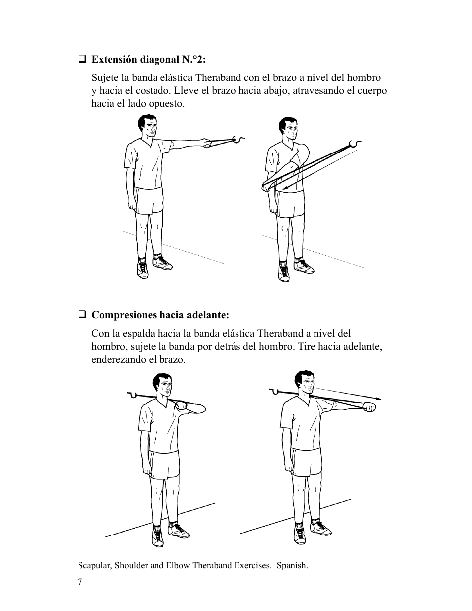 Scapular Shoulder and Elbow Theraband Exercise Chart (English / Spanish), Page 14