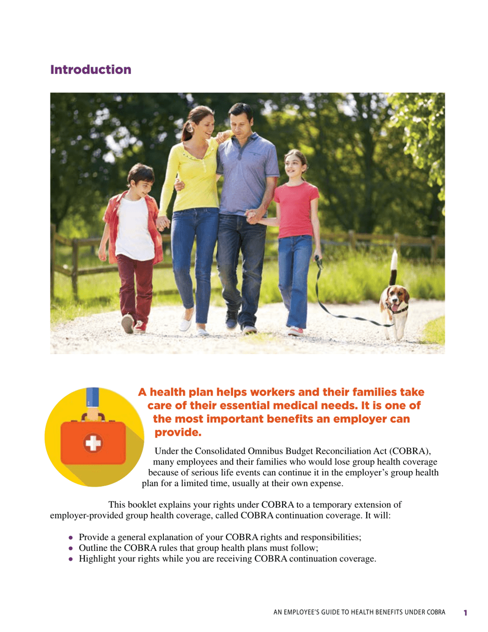 An Employees Guide to Health Benefits Under Cobra, Page 5