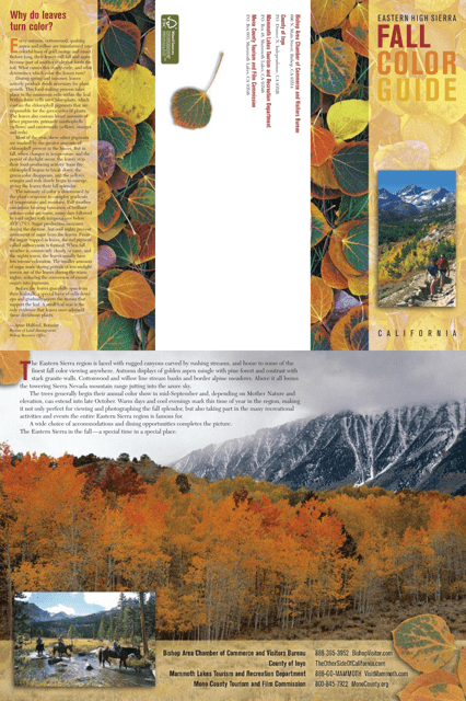 Fall Color Guide - Eastern High Sierra - California