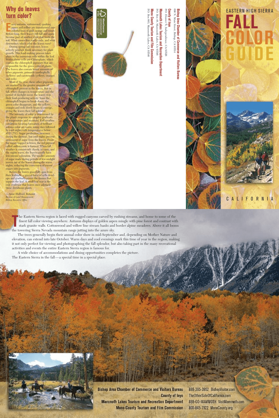 Fall Color Guide - Eastern High Sierra - California, Page 1