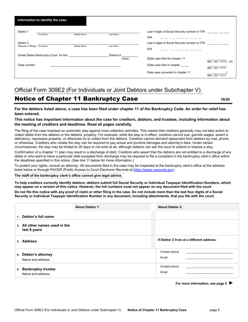 Official Form 309E2 Notice of Chapter 11 Bankruptcy Case (For Individuals or Joint Debtors Under Subchapter V)