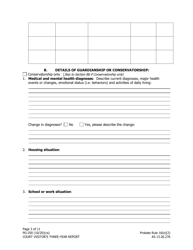 Form PG-250 Court Visitor&#039;s Three-Year Report - Alaska, Page 3