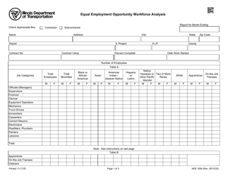 Form AER1956 Equal Employment Opportunity Workforce Analysis - Illinois