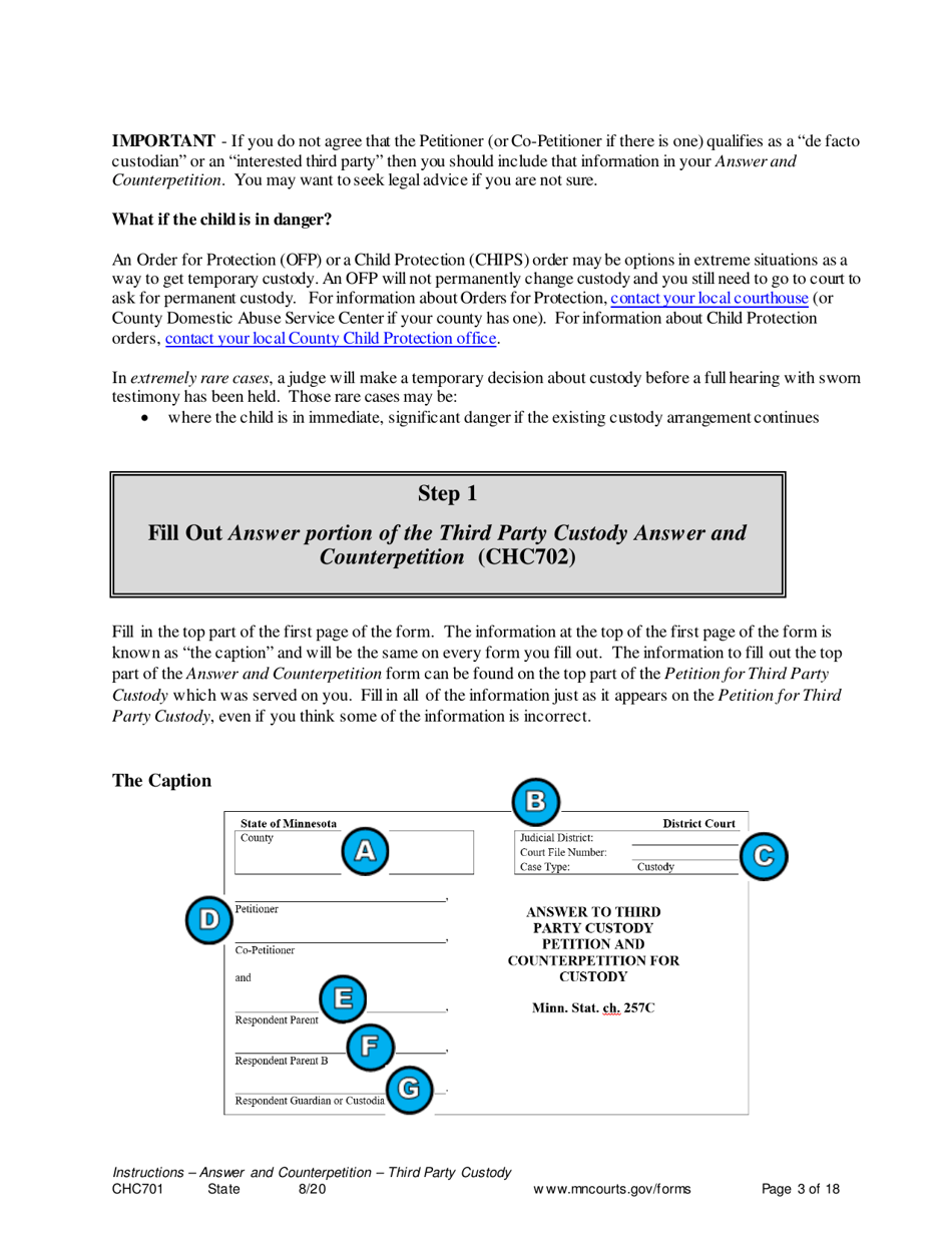 Instructions for Form CHC702 Answer to Third Party Custody Petition and Counterpetition for Custody - Minnesota, Page 3