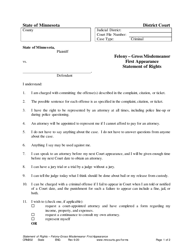 Document preview: Form CRM202 Felony - Gross Misdemeanor First Appearance Statement of Rights - Minnesota