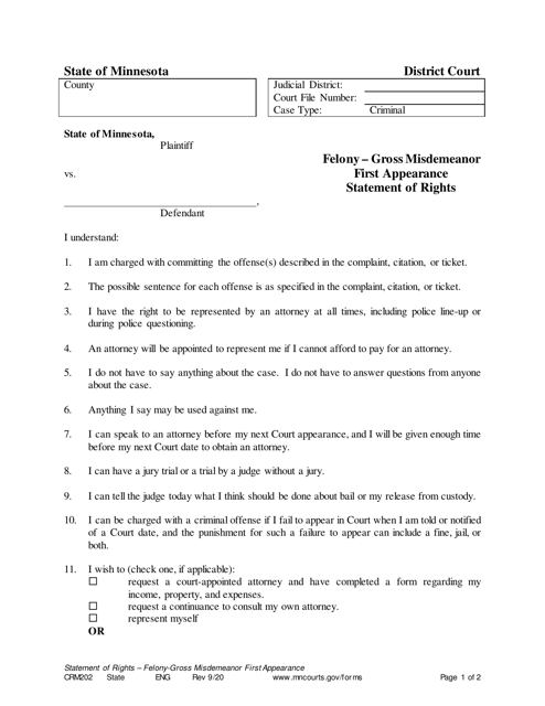 Form CRM202 Felony - Gross Misdemeanor First Appearance Statement of Rights - Minnesota