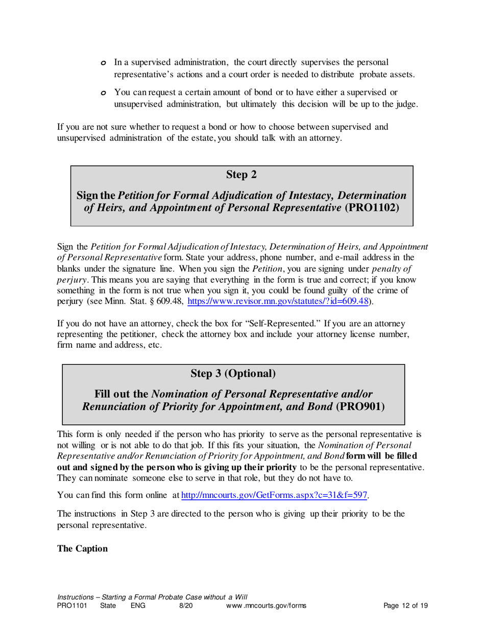 Form PRO1101 Instructions - Starting a Case: Formal Probate Without a Will - Minnesota, Page 12
