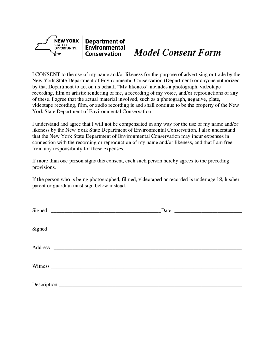 Model Consent Form - New York, Page 1