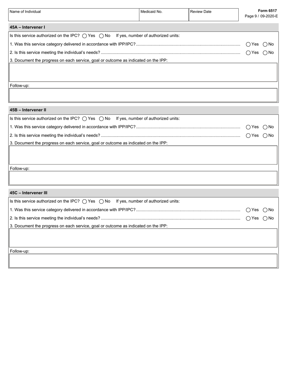 Form 6517 Individual Program Plan (Ipp) Service Review - Texas, Page 9