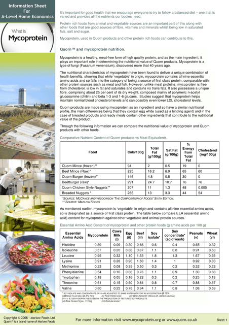 Information Sheet for a-Level Home Economics - Mycoprotein Preview Image