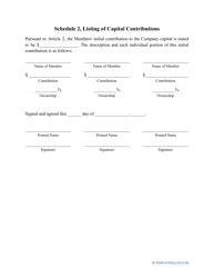 &quot;Limited Liability Company (LLC) Operating Agreement Template&quot;, Page 12
