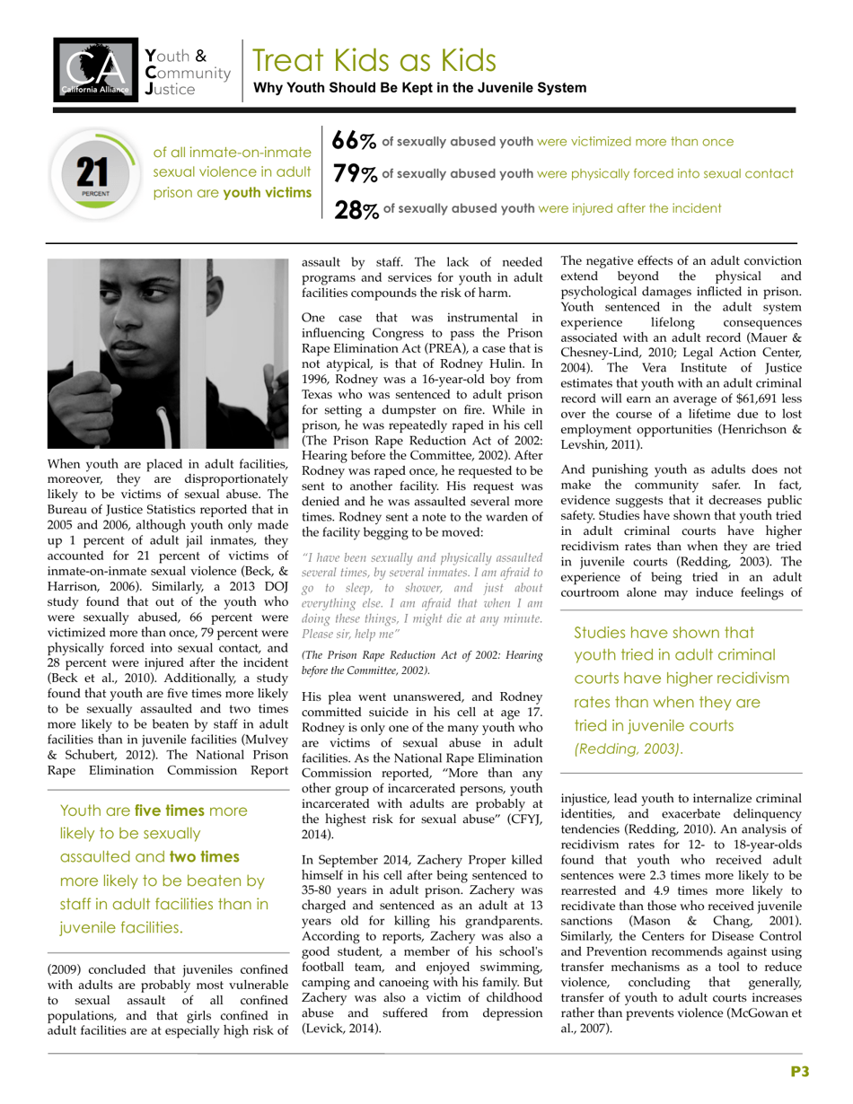Treat Kids as Kids: Why Youth Should Be Kept in the Juvenile Justice System, Page 3