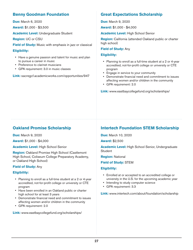 2020 List of Undergraduate Scholarships That Don&#039;t Require Proof of U.S. Citizenship or Legal Permanent Residency, Page 27