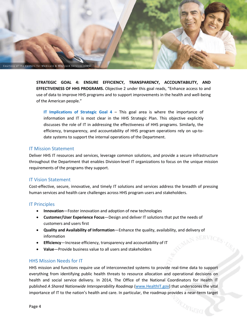 Information Technology Strategic Plan (2017-2020), Page 7
