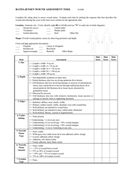 Bates-Jensen Wound Assessment Tool, Page 3