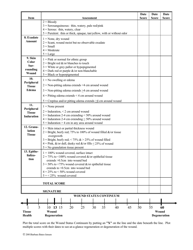Bates-Jensen Wound Assessment Tool, Page 4