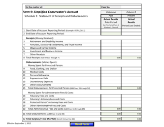 Form 9 Simplified Conservator's Account - Arizona