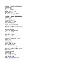 Private Process Server Program Complaint Form - Arizona, Page 2